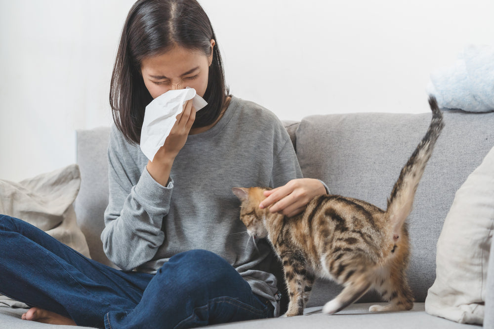 What Kind of Pets Can Cause Allergies