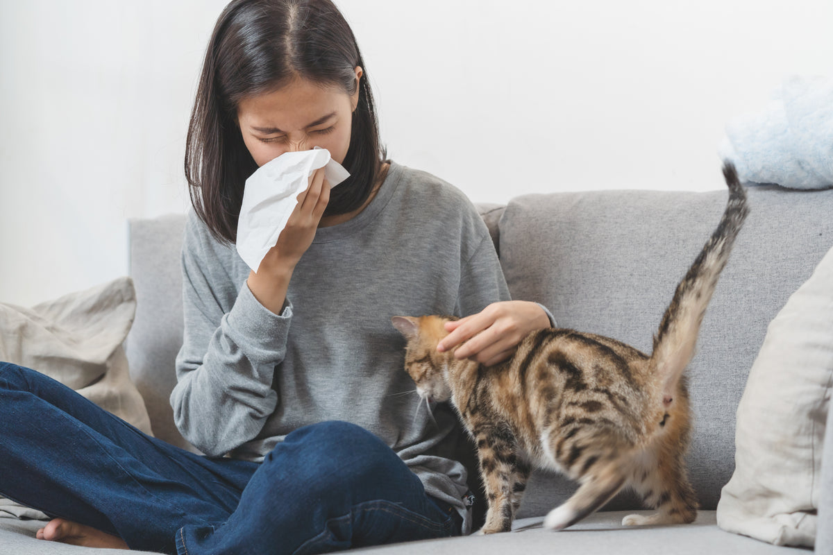 What Kind of Pets Can Cause Allergies Air Oasis