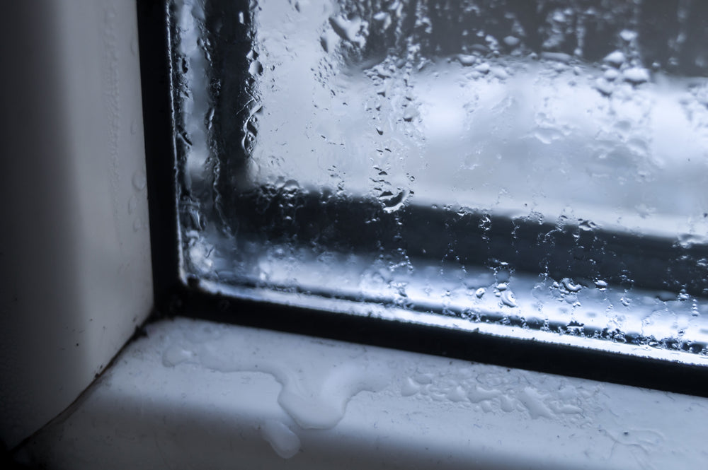 Winter and Mold