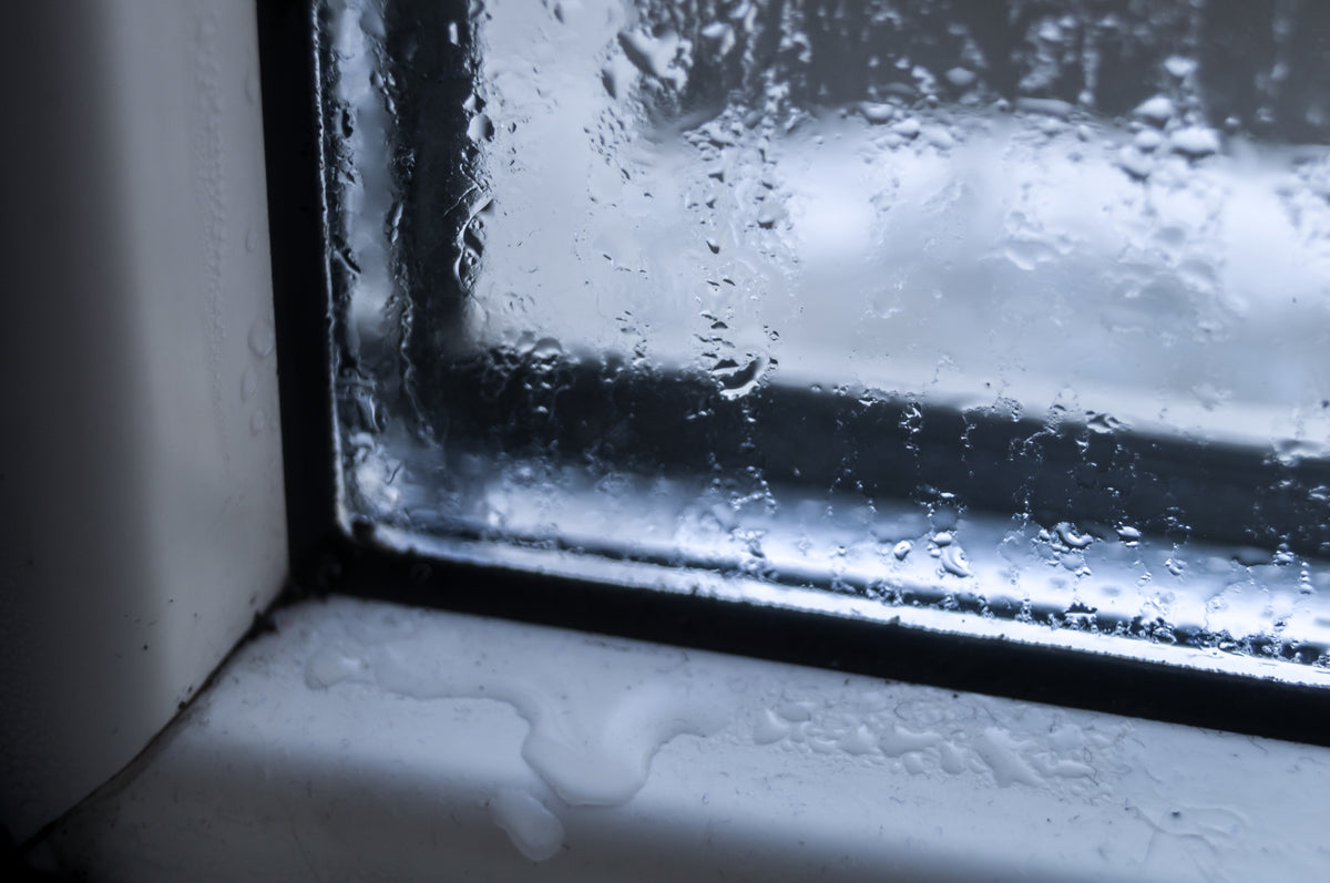 Winter and Mold