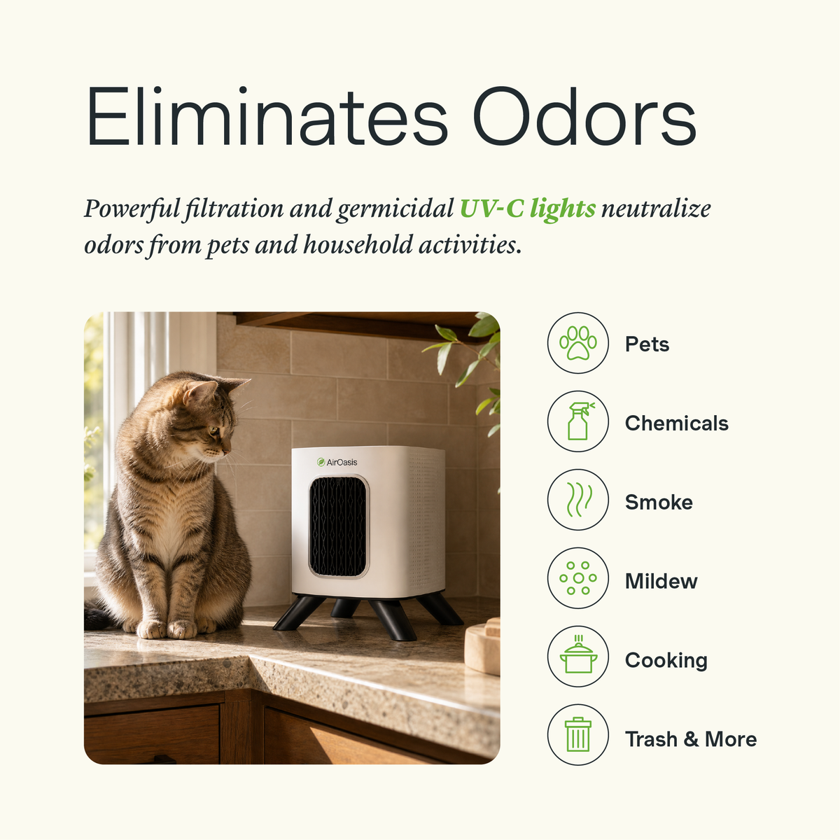 Bundle Whole Home 10 Odors