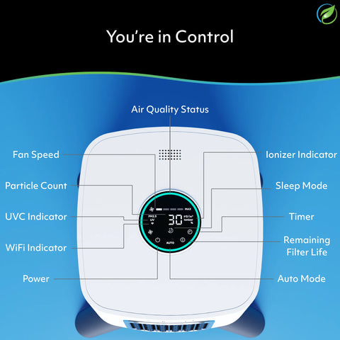 Clean Air Starter Bundle