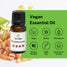 vegan frankincense essential oil