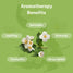 benefits of Jasmine essential oil