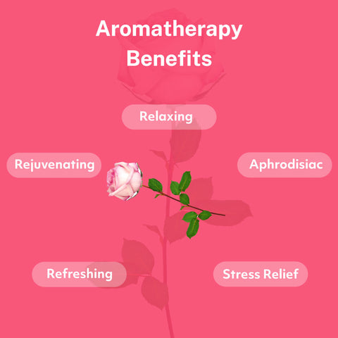 Rose Essential Oil