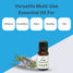 uses for Rosemary essential oil