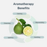 Bergamot Essential Oil