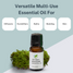 Woodland Essential Oil