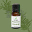 Rosemary essential oil