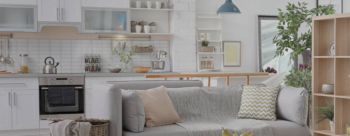 Air Purifiers for the Home