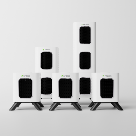 Whole Home Healthy Air Bundle