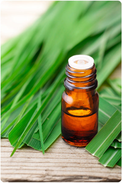 Lemongrass Essential Oil