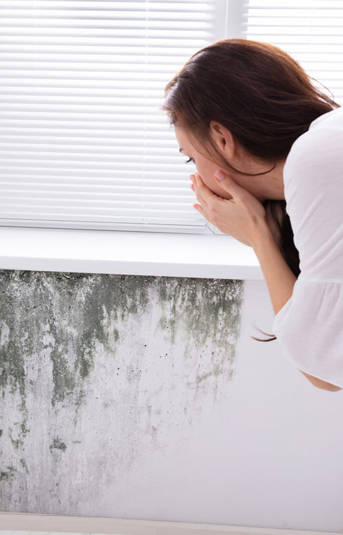 air purifiers for mold and biotoxins