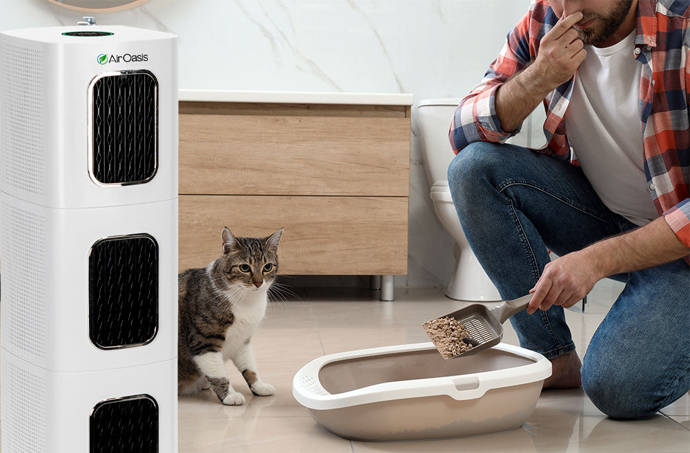 Image of an air purifier reducing odors from a litter box
