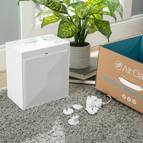 Air oasis ionizer sales